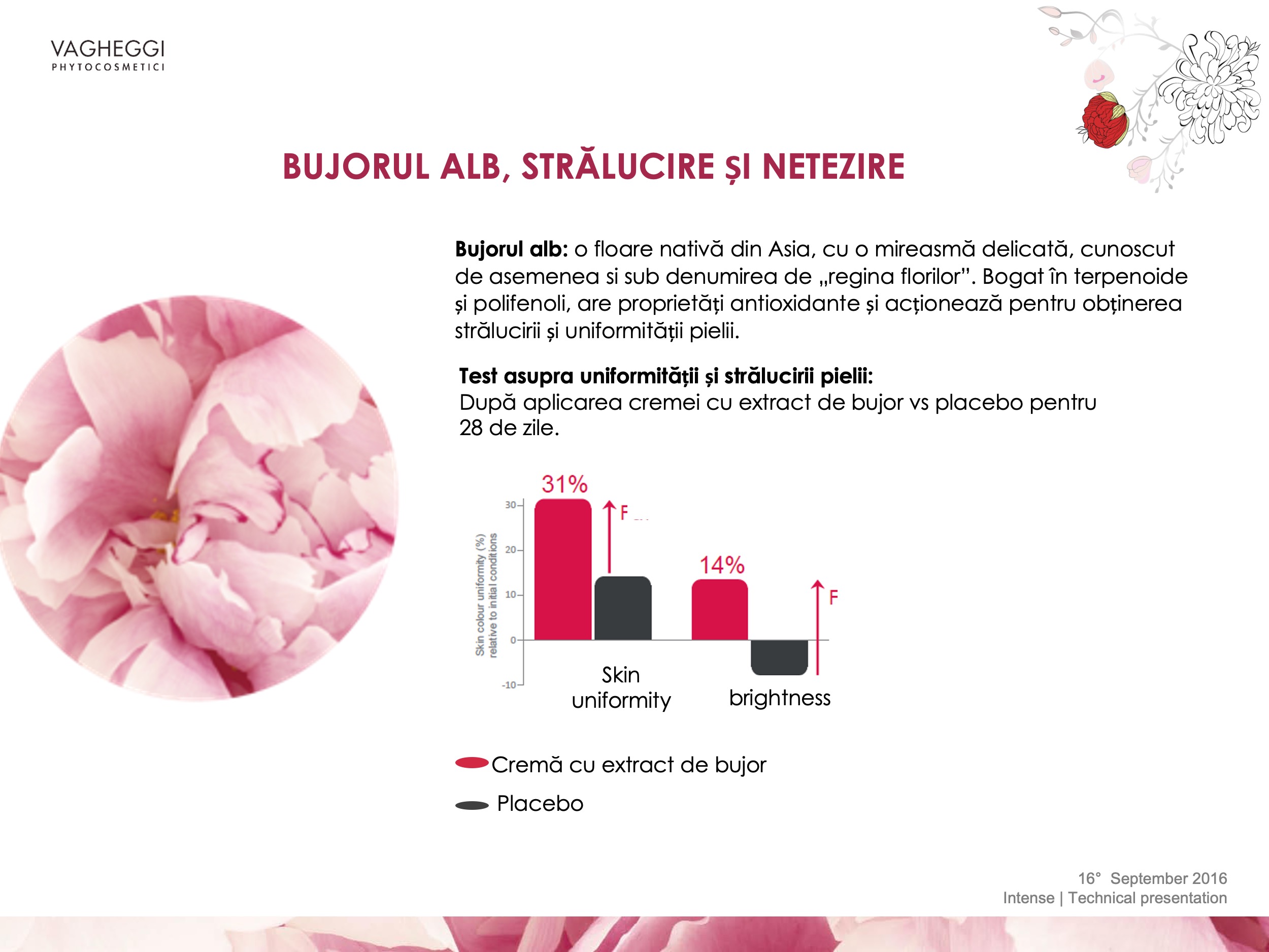 Ingrediente Intense Line Vagheggi