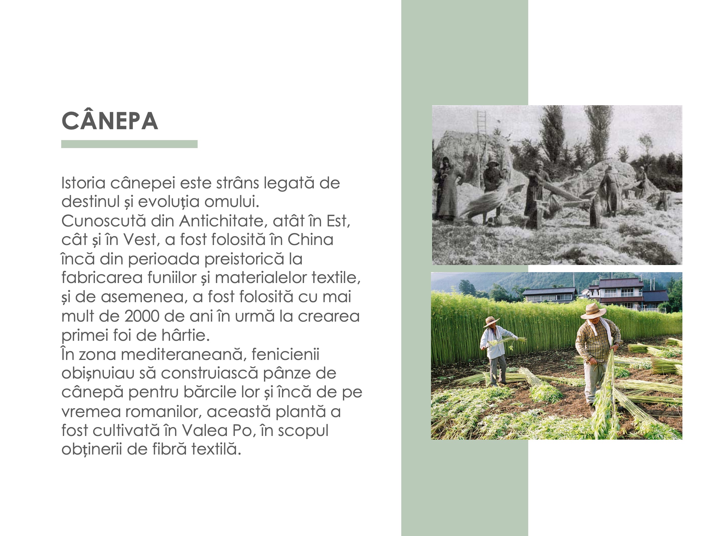 Gama Atypical