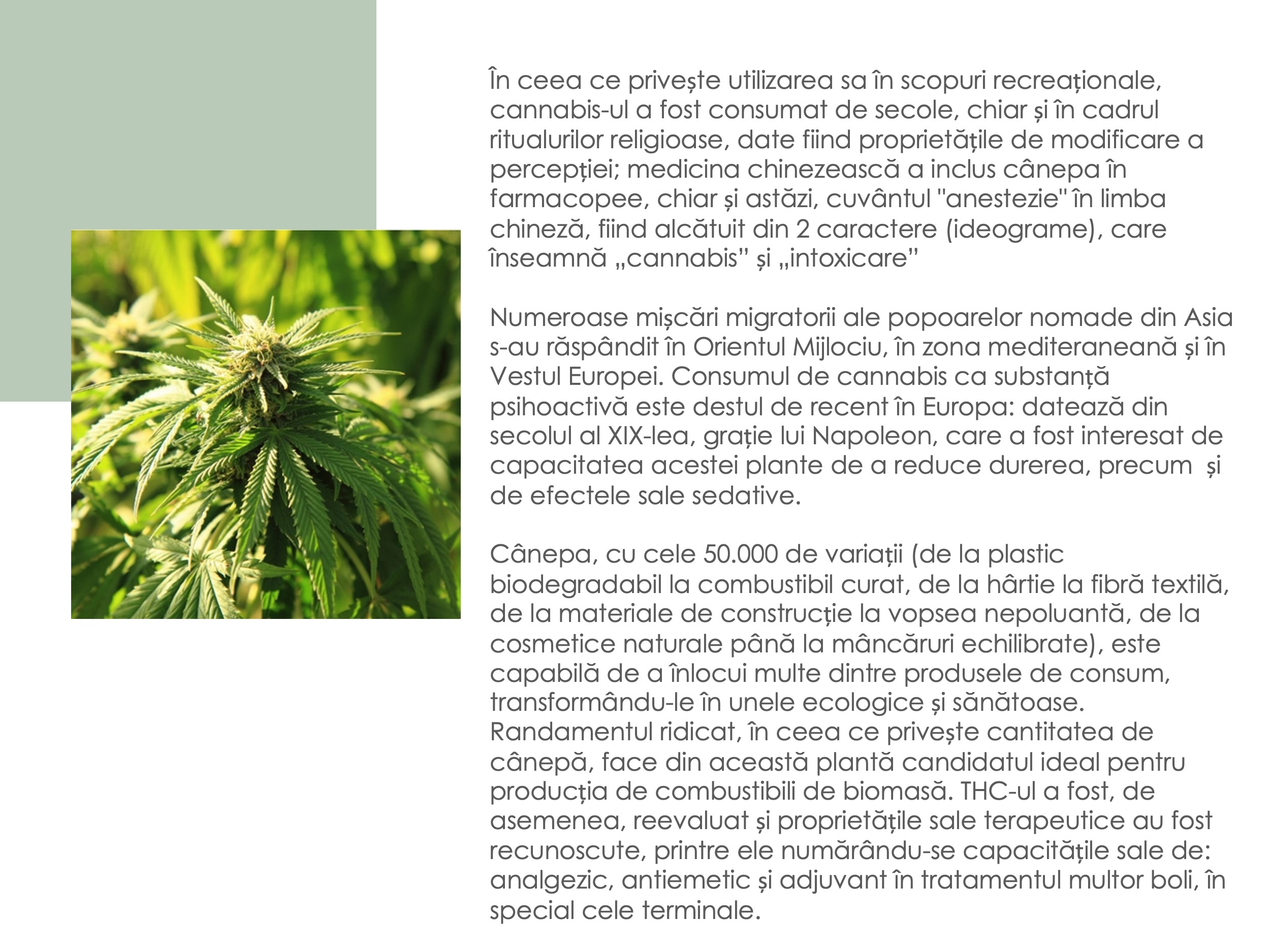 Gama Atypical