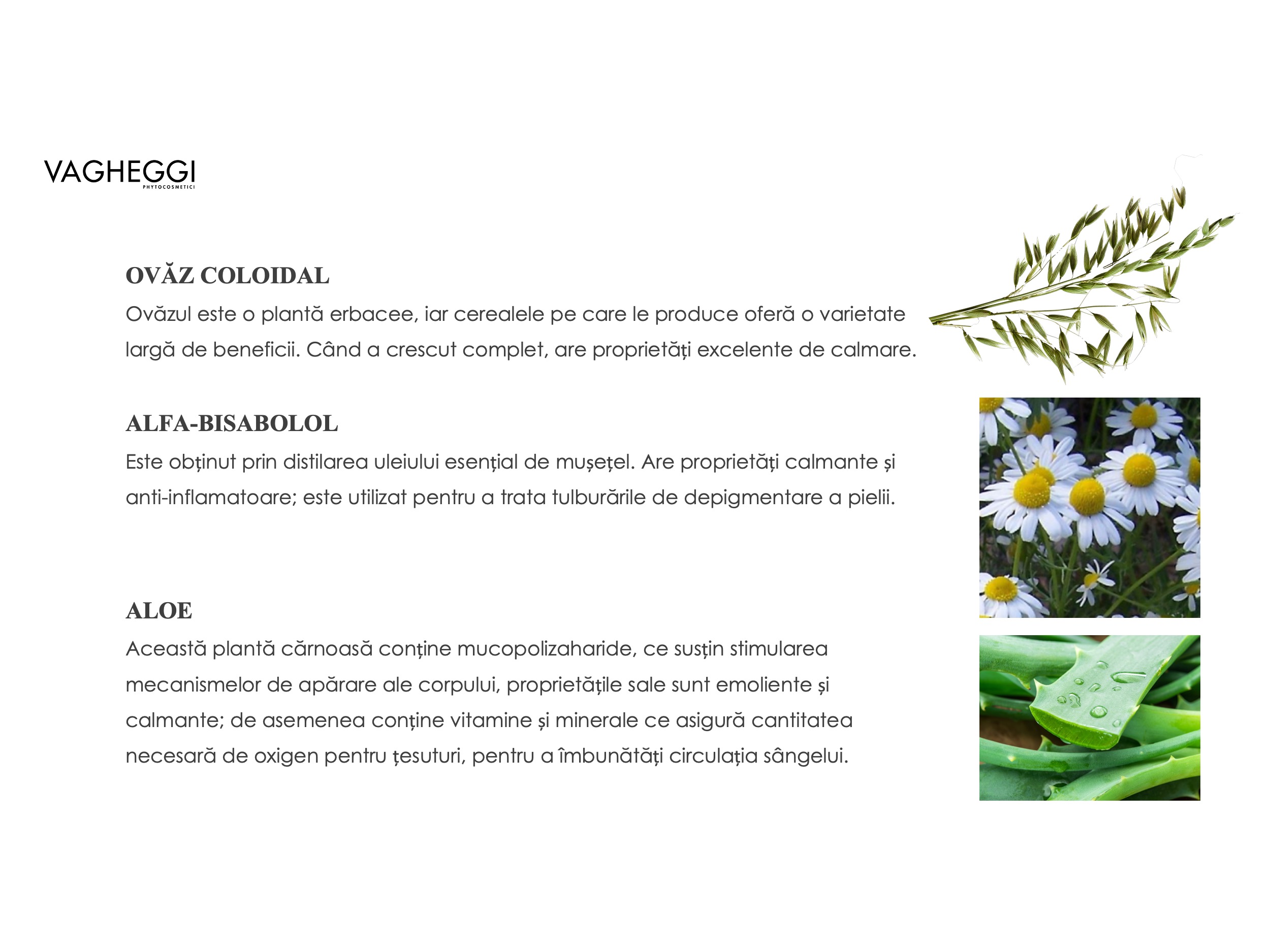 Ingrediente Gama Primissima Vagheggi